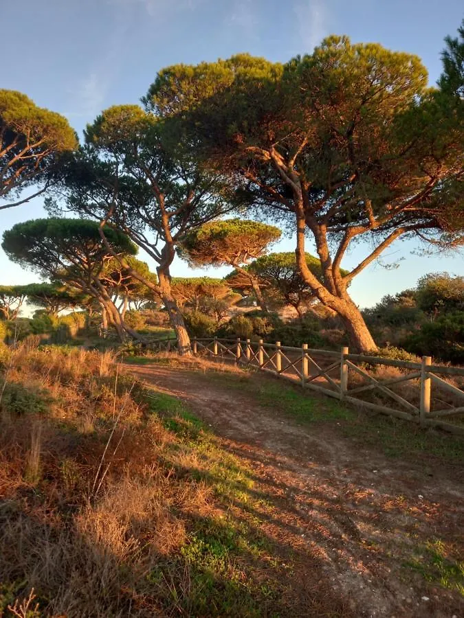 Holiday home Paradise On The Beach Albufeira