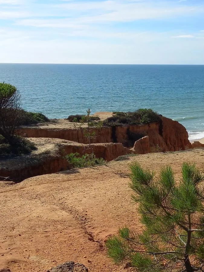 Paradise On The Beach Albufeira Portugal